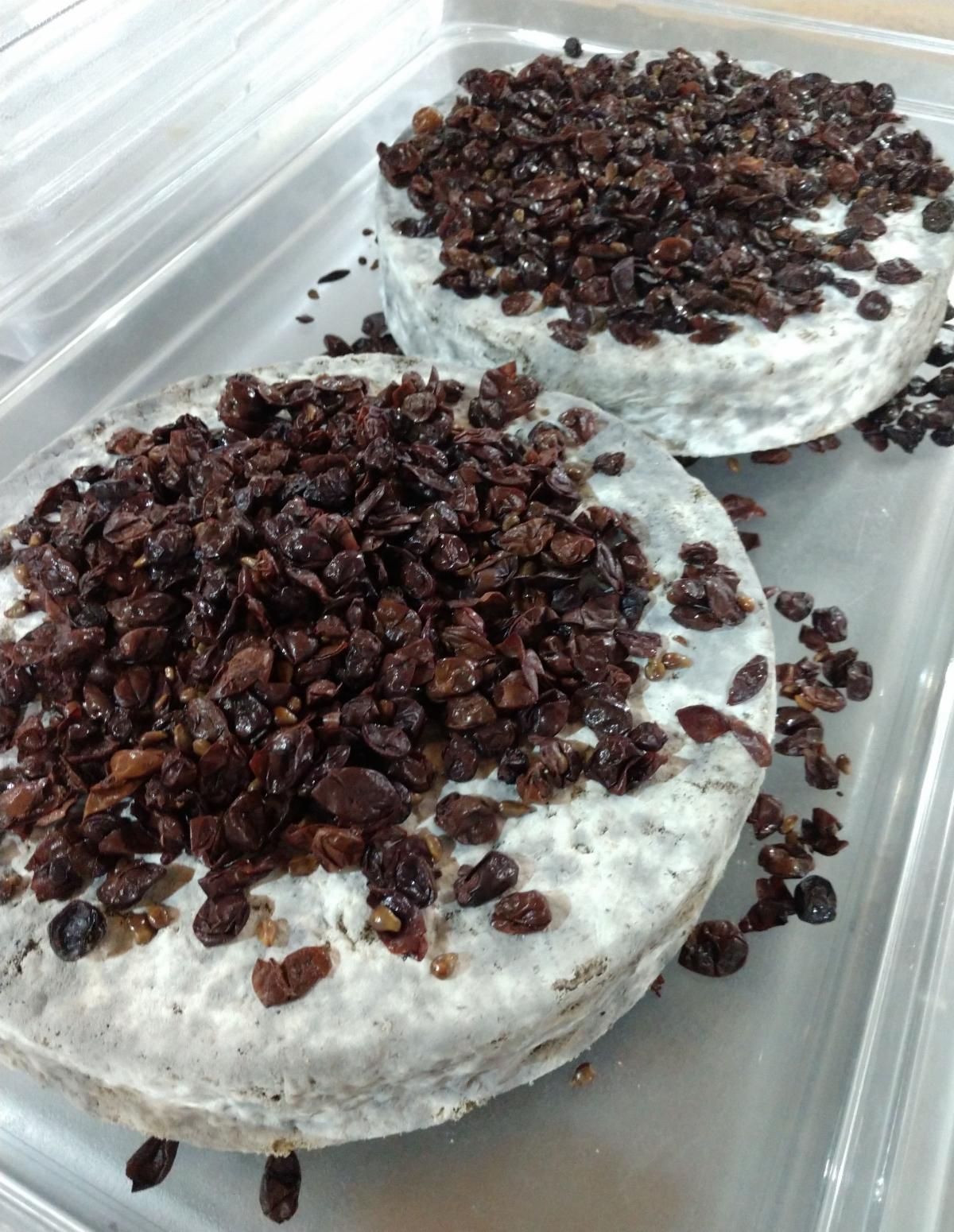 Bobolink Dairy & Bakeyard